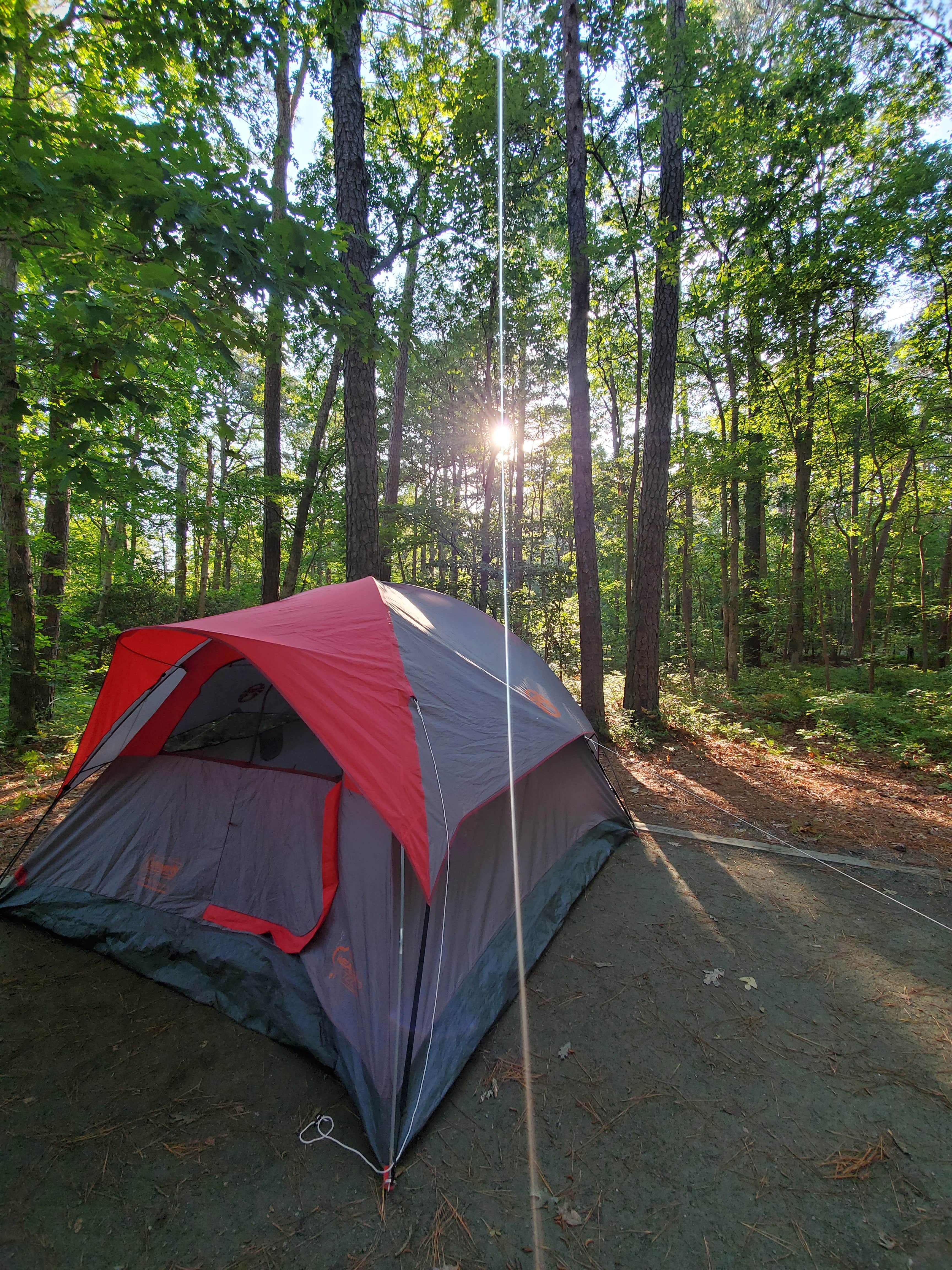 Camper submitted image from Pocomoke River State Park Campground - 3