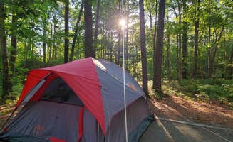 Nancy N.'s photo at Pocomoke River State Park Campground in Maryland