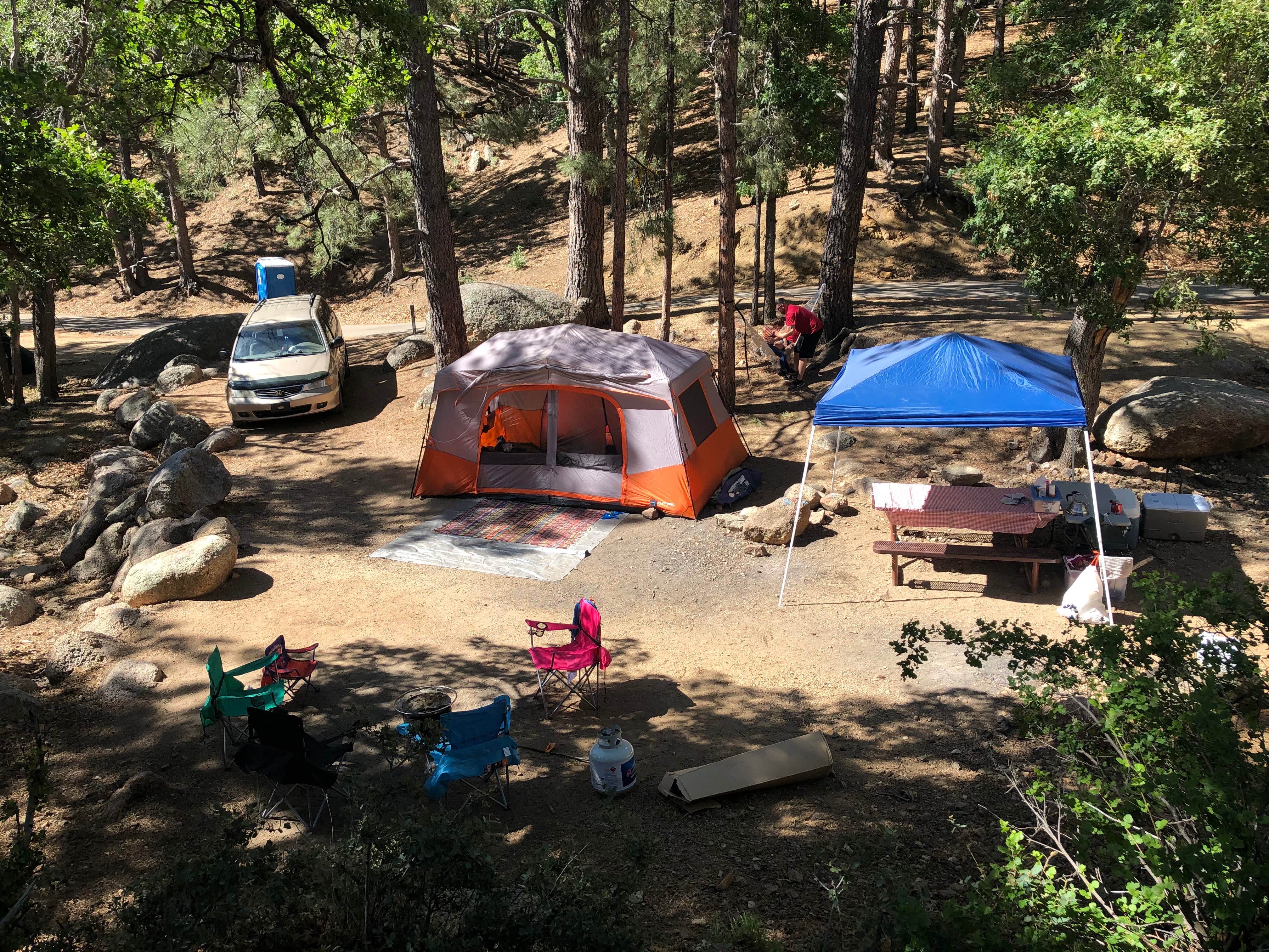 Jessica W.'s photo at Hualapai Mountain Park near Peach Springs, AZ