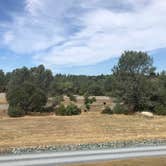 Review photo of Beals Point Campground — Folsom Lake State Recreation Area by Cassidy Y., June 20, 2020