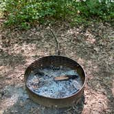 Review photo of Ice Age Campground — Devils Lake State Park by Shelley M., June 20, 2020