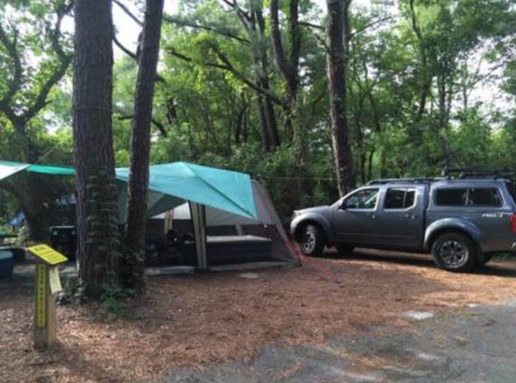 Camper submitted image from First Landing State Park Campground - 5