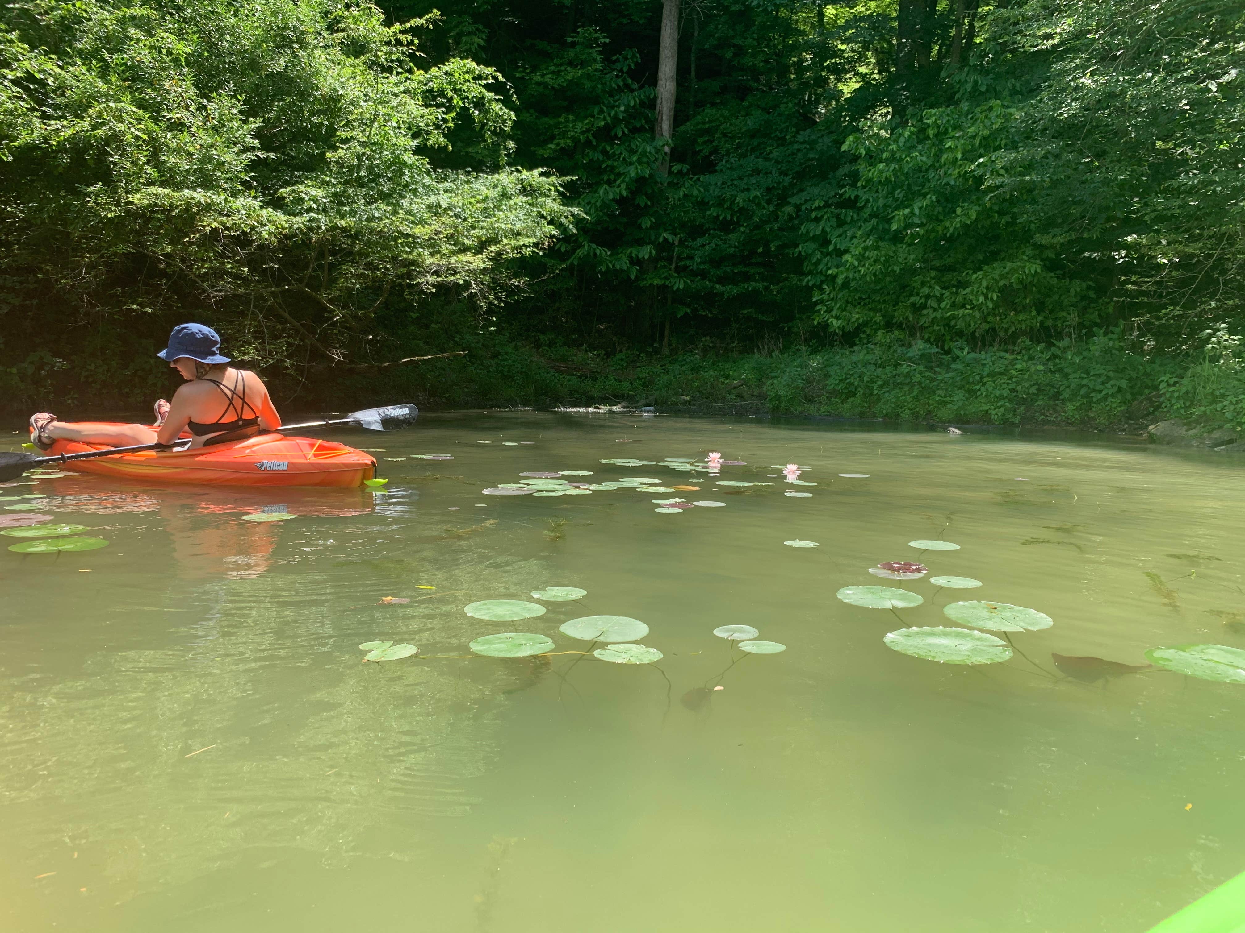 Camper-submitted photo at Burr Oak State Park Campground near Clifton, OH
