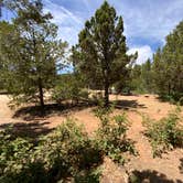 Review photo of Zion Ponderosa Ranch Resort by Jeremy H., June 20, 2020
