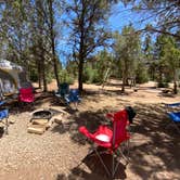 Review photo of Zion Ponderosa Ranch Resort by Jeremy H., June 20, 2020