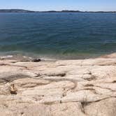 Review photo of Beals Point Campground — Folsom Lake State Recreation Area by Cassidy Y., June 20, 2020