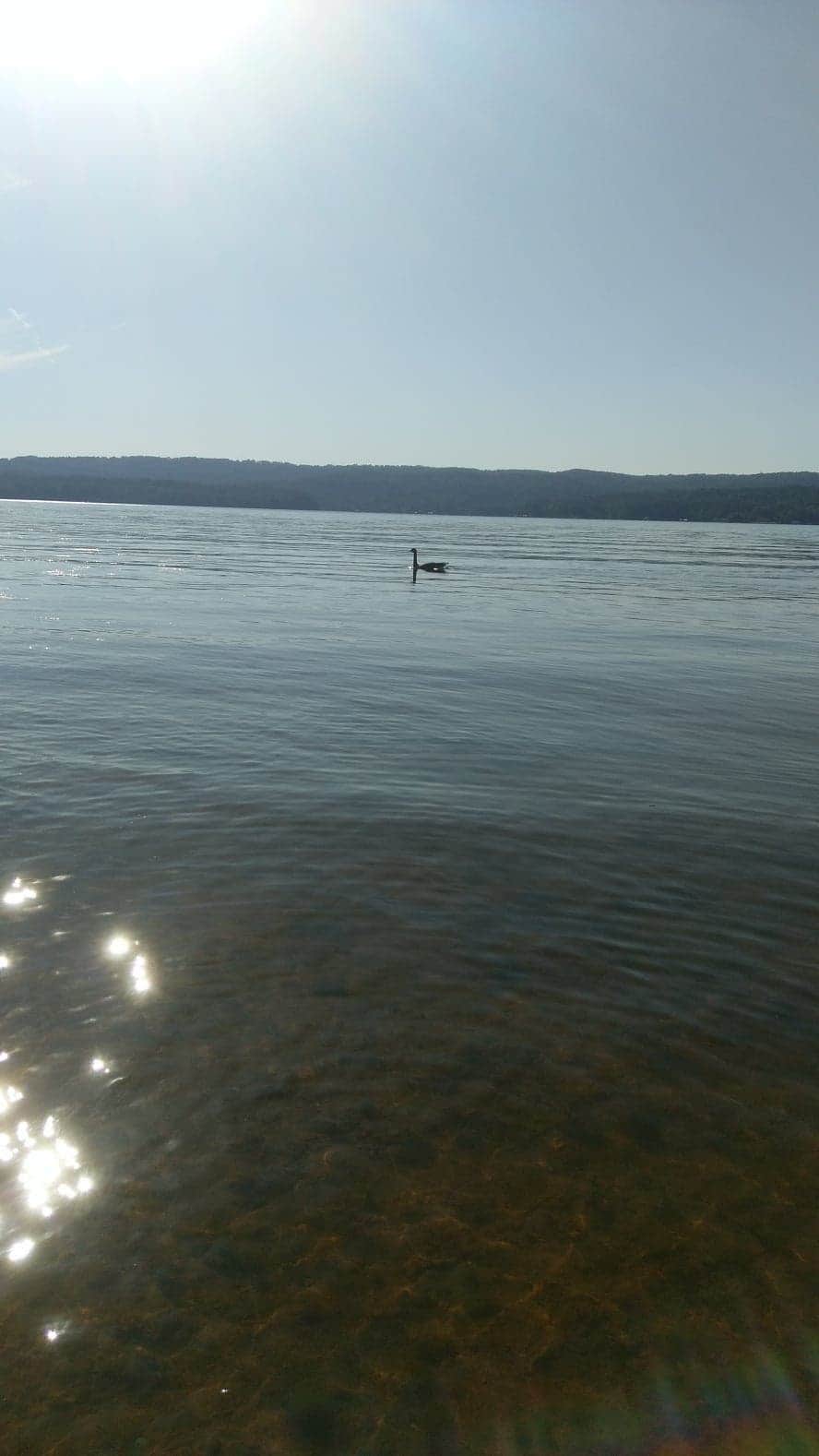 Camper-submitted photo at Little Mountain Marina Resort near Woodville, AL