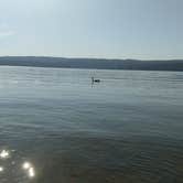 Review photo of Little Mountain Marina Resort by Dwight  L., June 20, 2020