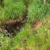 Review photo of Finger Lake State Rec Area by Tanya B., June 20, 2020