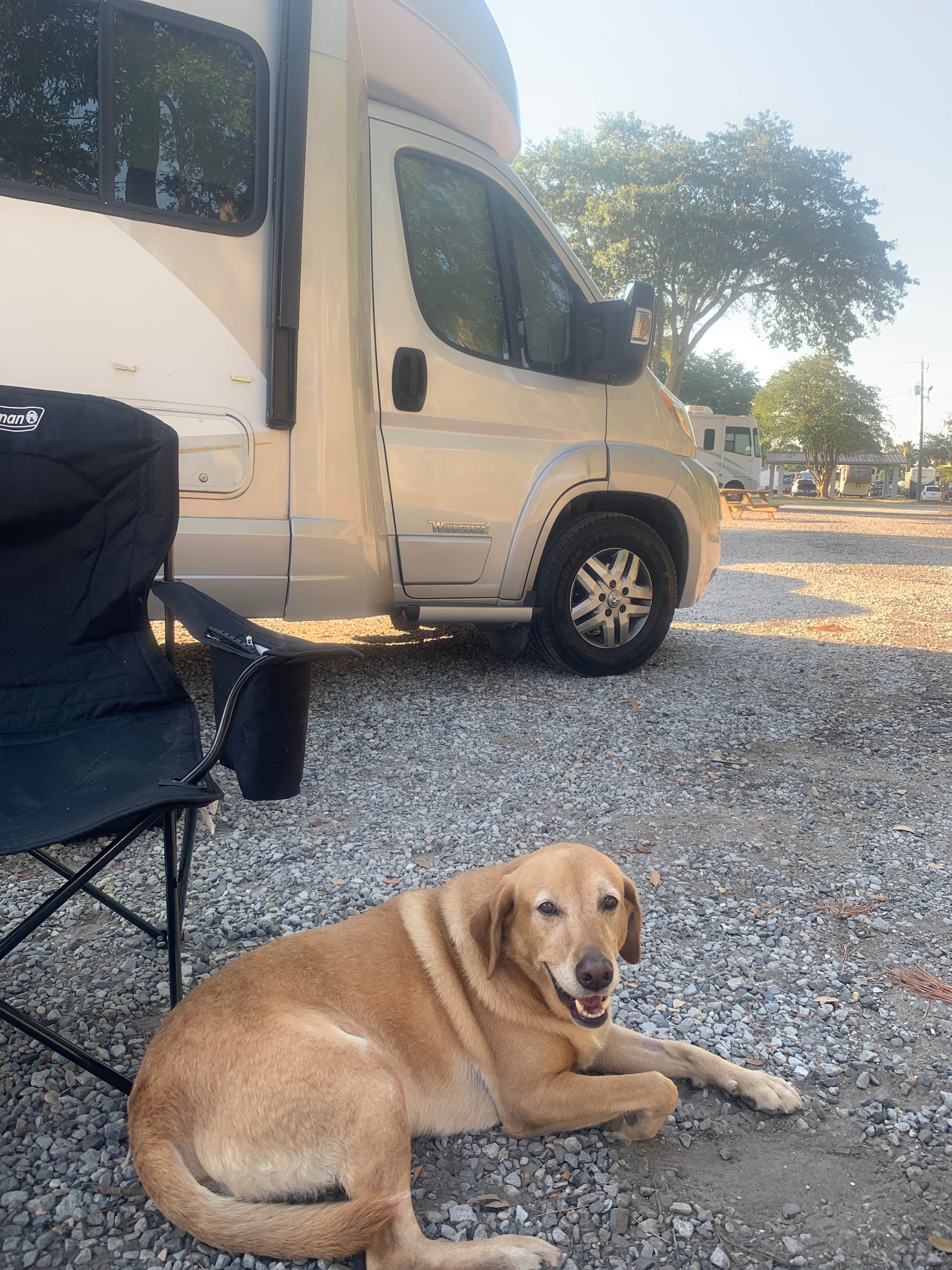 Kurt  D.'s photo of camping with pets at Cajun RV Park near Grand Bay, AL