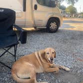 Review photo of Cajun RV Park by Kurt  D., June 20, 2020