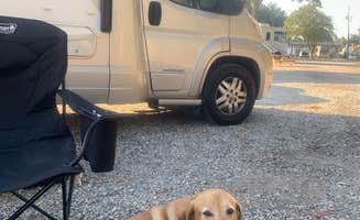Kurt D.'s photo of camping with pets at Cajun RV Park near Moss Point, MS