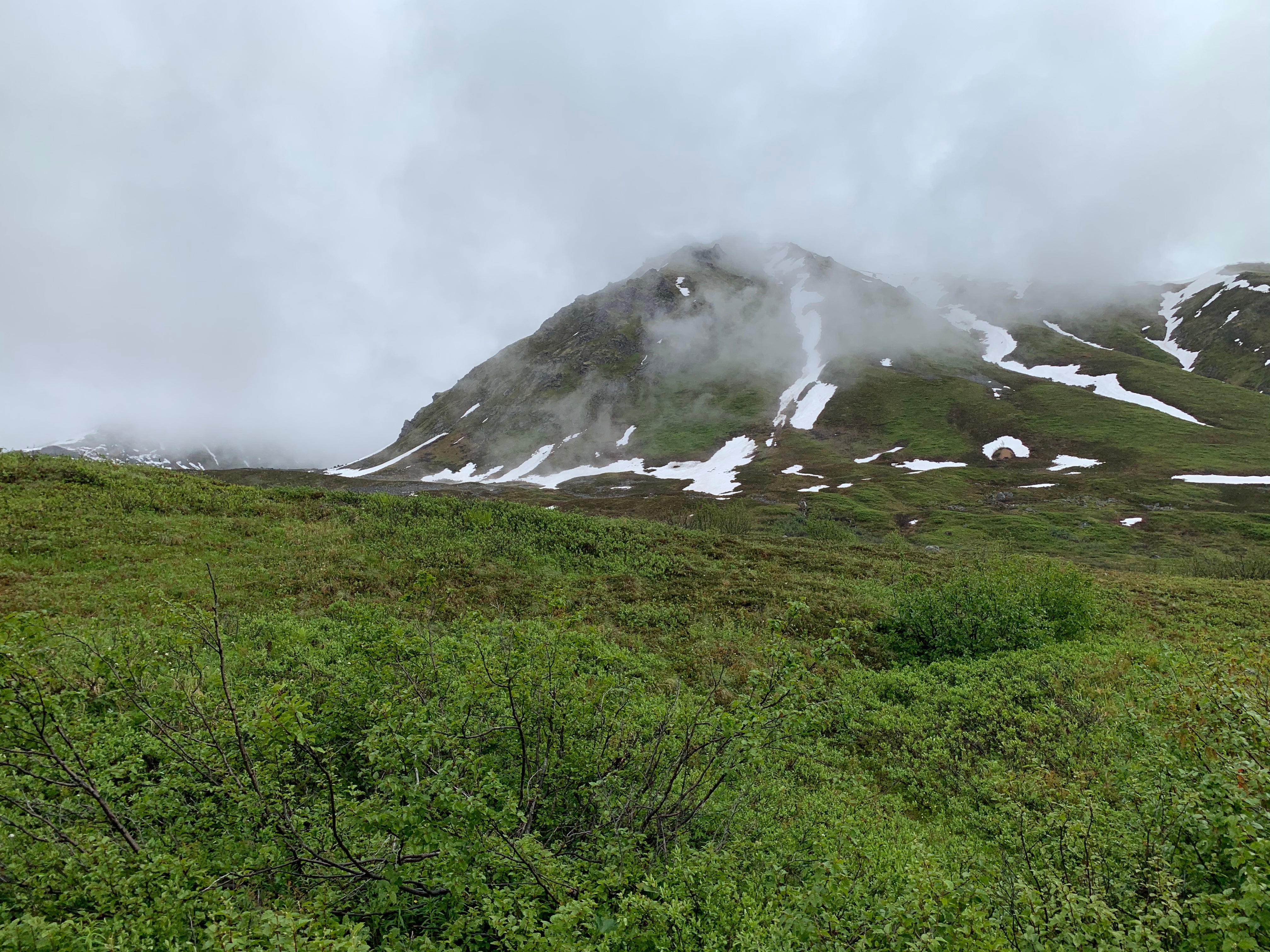 Camper submitted image from Hatcher Pass Lodge - 2
