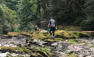 Charyl B.'s photo of camping with pets at Longbow Organization Group Camp near Cascadia, OR