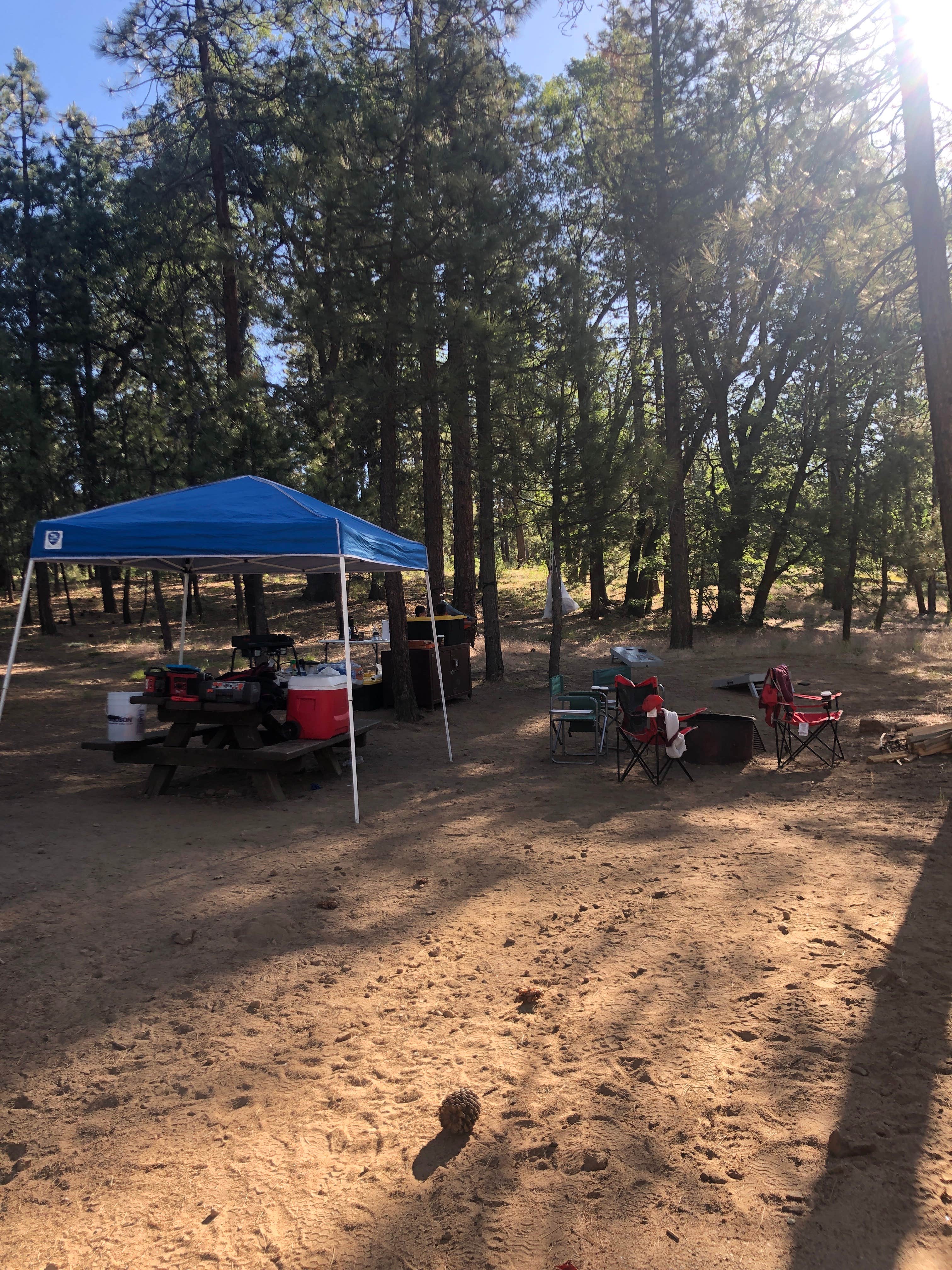 Samantha N.'s photo at San Gorgonio Campground near Big Bear City, CA