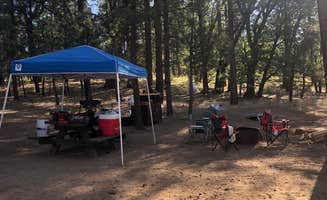 Samantha N.'s photo at San Gorgonio Campground near Big Bear City, CA