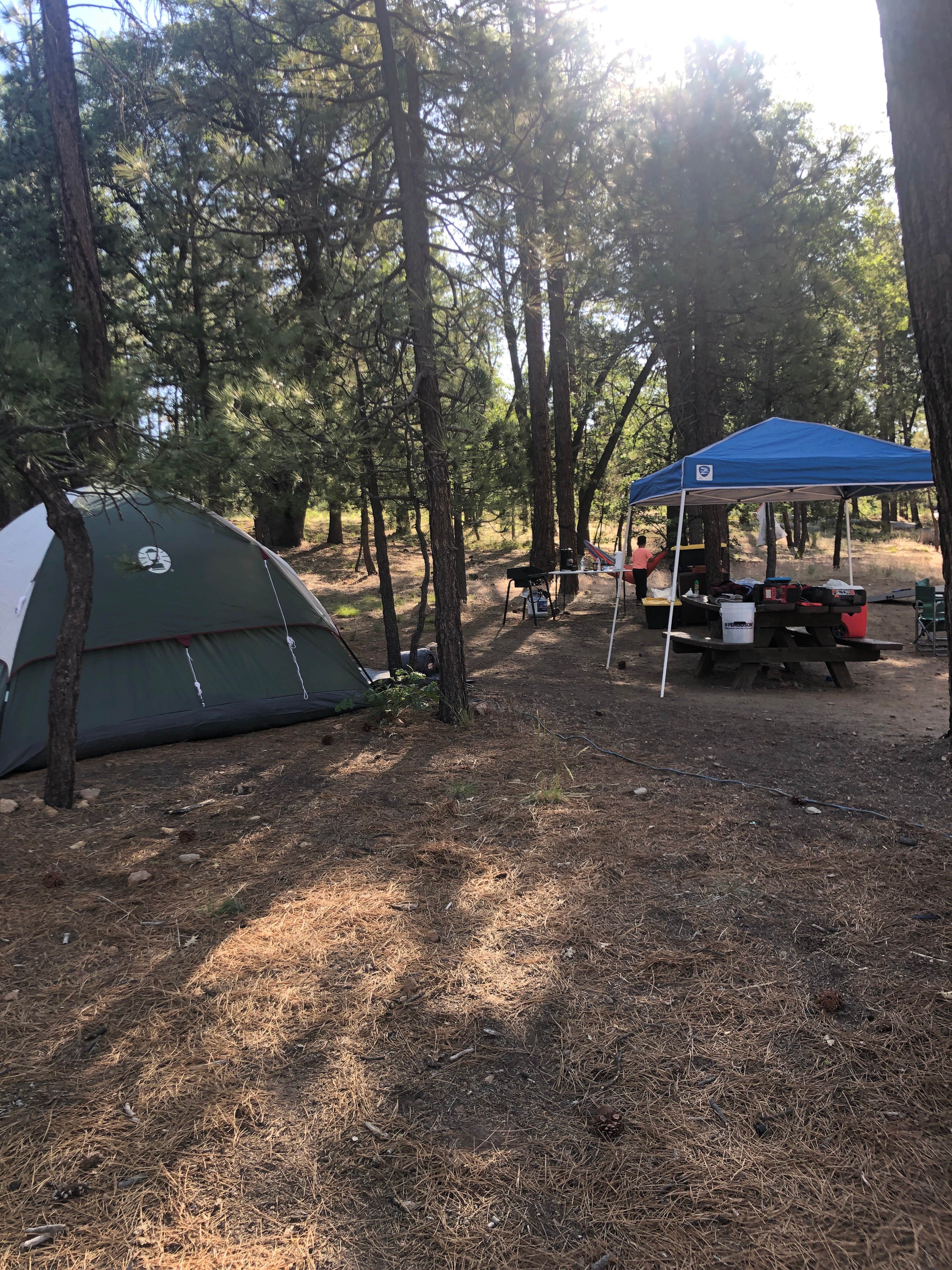 Samantha N.'s photo at San Gorgonio Campground near Big Bear City, CA