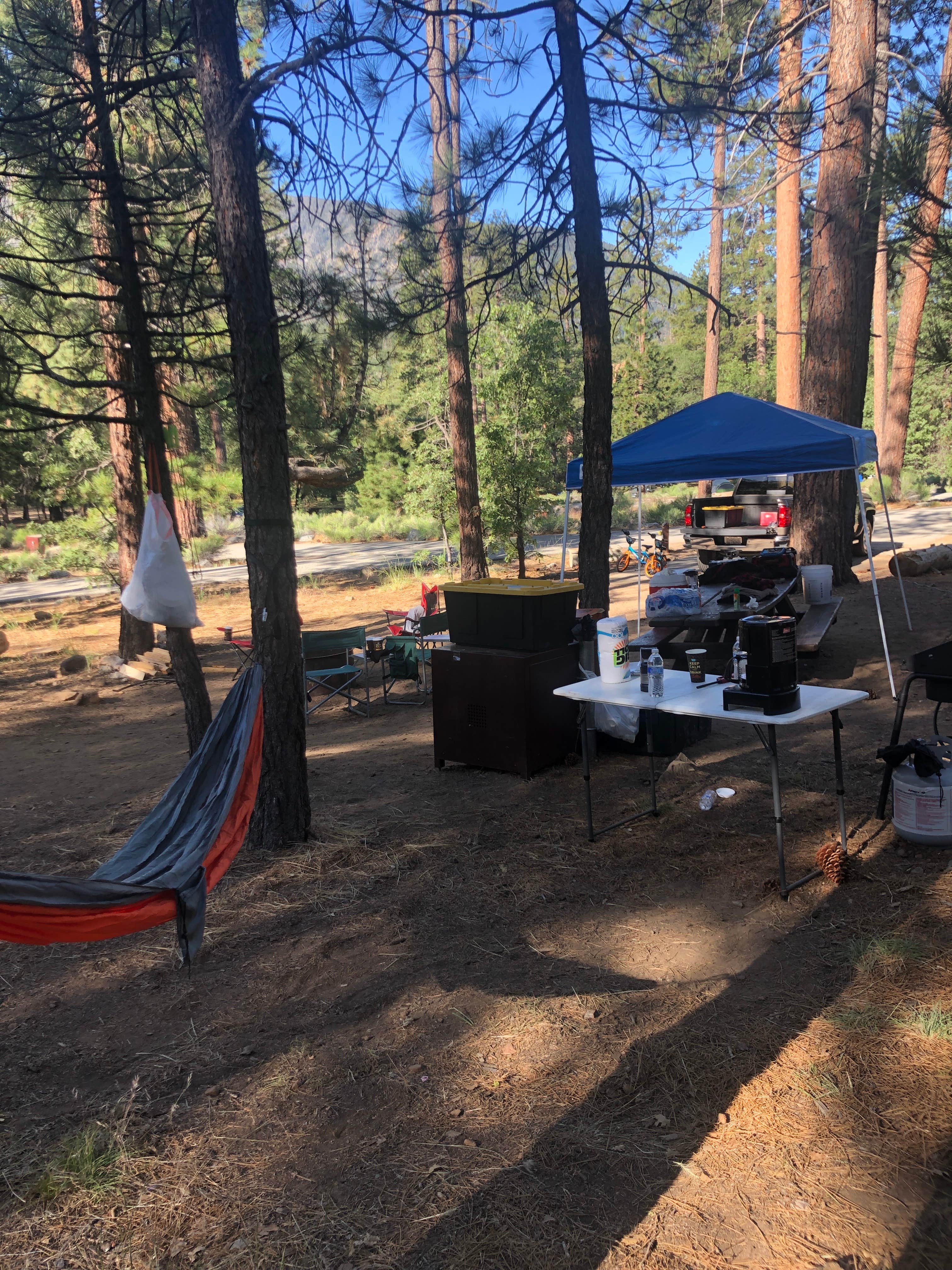 Samantha N.'s photo at San Gorgonio Campground near San Bernardino National Forest