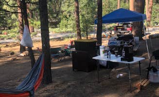 Samantha N.'s photo at San Gorgonio Campground near Forest Falls, CA