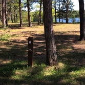 Review photo of Andrus Lake State Forest Campground by Joie V., June 21, 2020