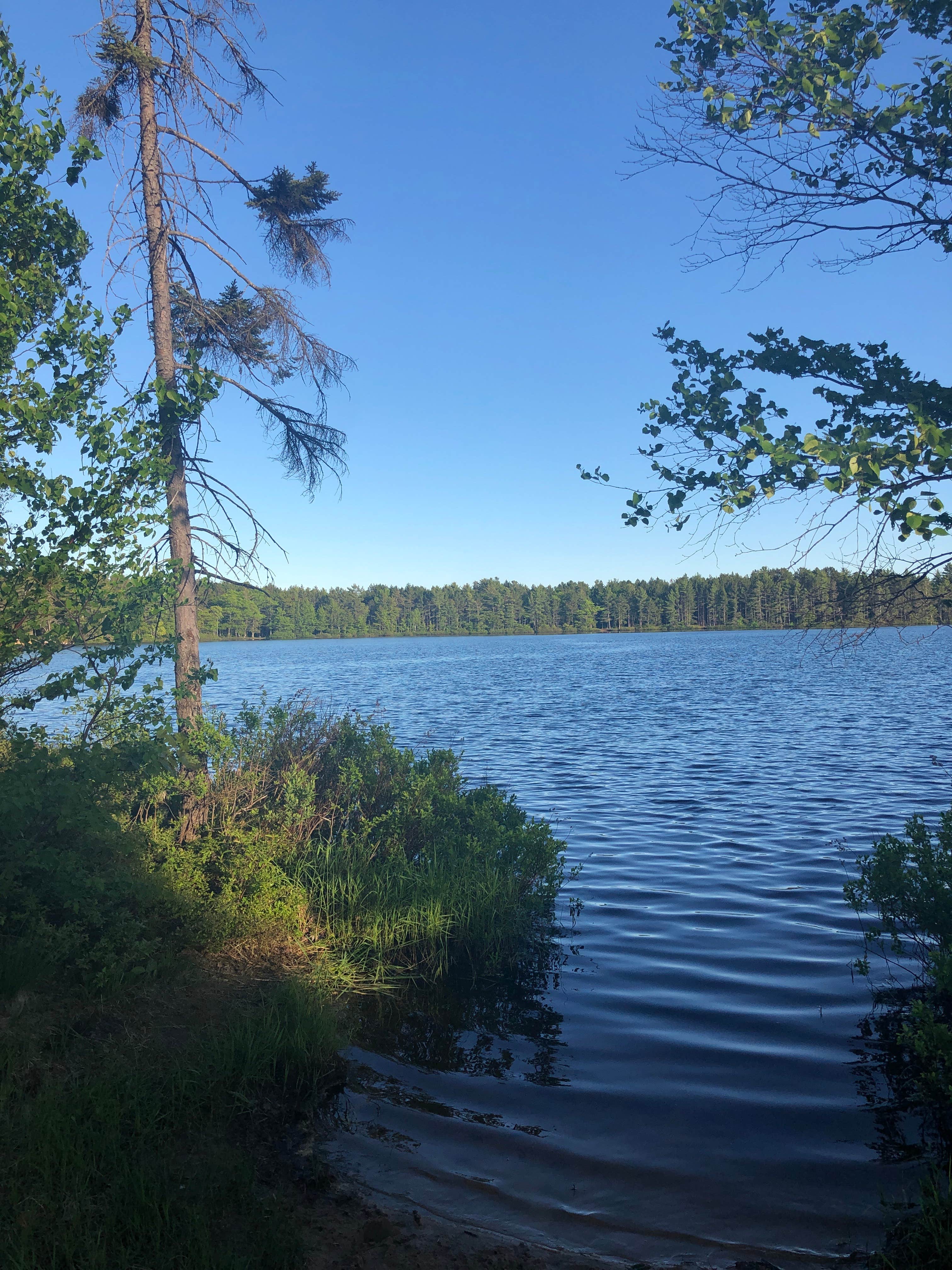 Camper submitted image from Andrus Lake State Forest Campground - 4