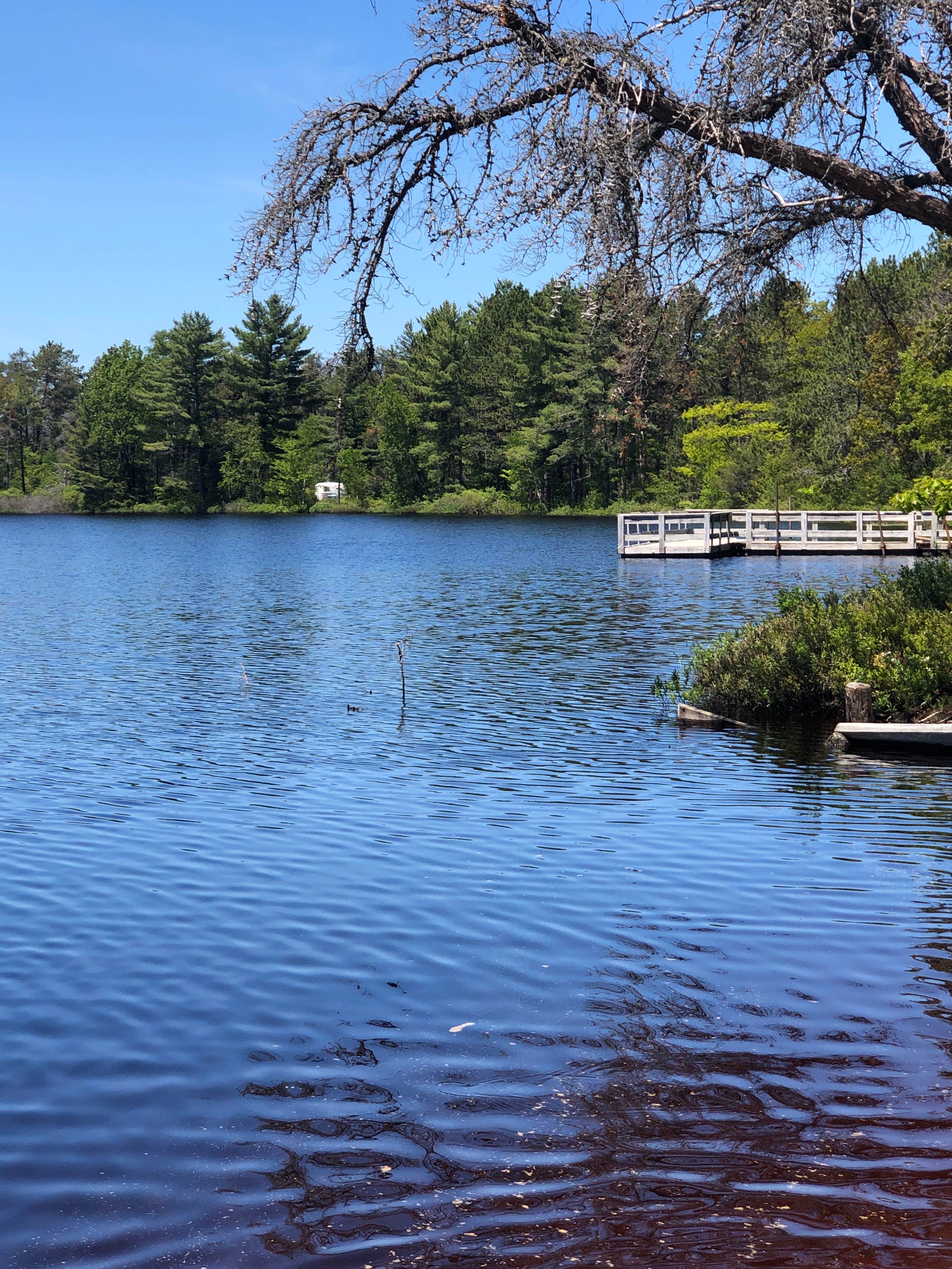 Camper-submitted photo at Andrus Lake State Forest Campground near Paradise, MI