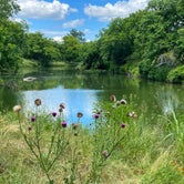 Review photo of South Llano River State Park Campground by Mic R., June 21, 2020