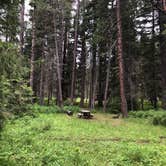 Review photo of Blackhorse Campground by Andrew L., June 21, 2020