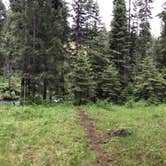 Review photo of Blackhorse Campground by Andrew L., June 21, 2020