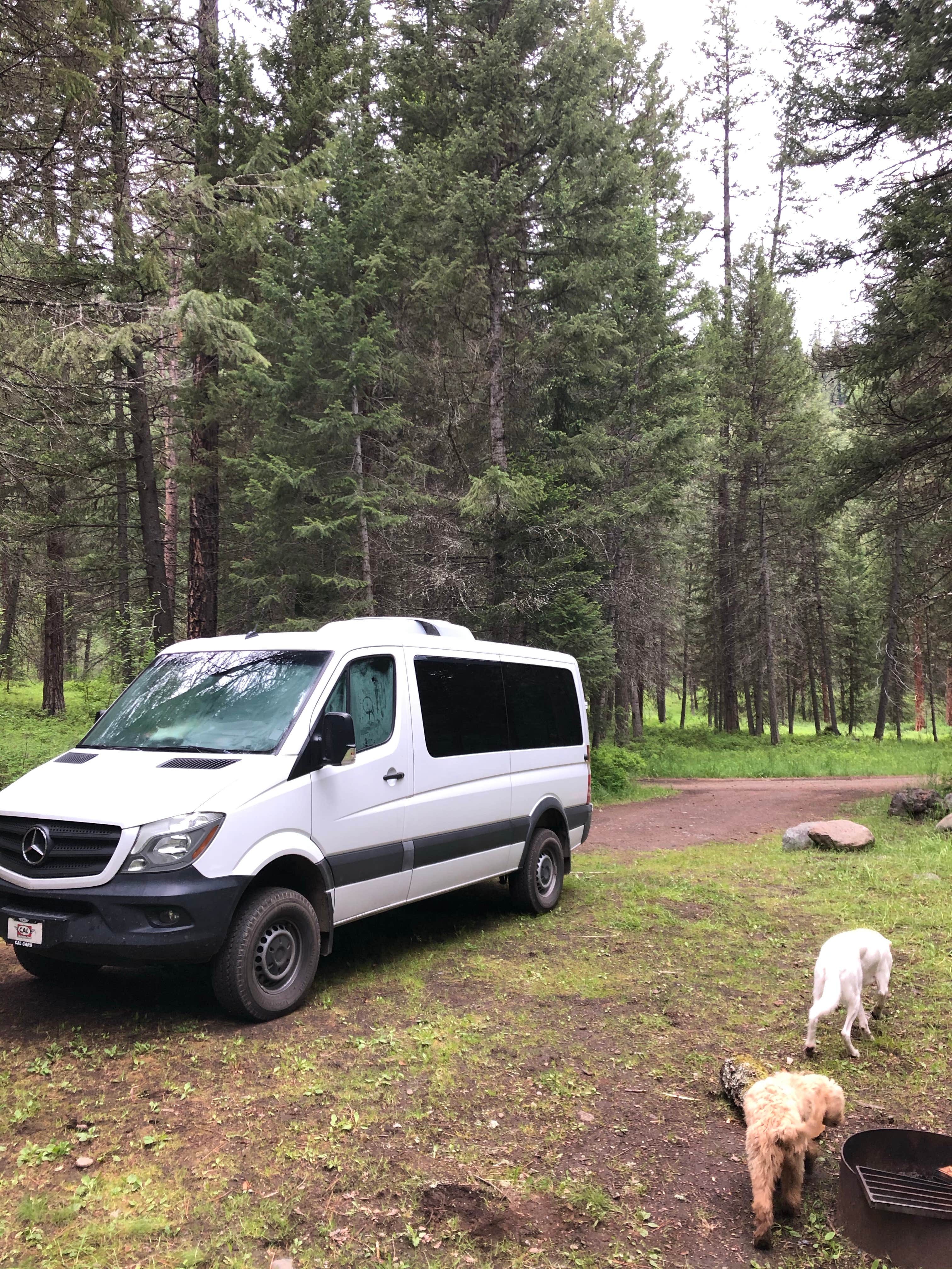 Andrew L.'s photo of camping with pets at Blackhorse Campground near New Meadows, ID