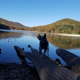 Review photo of Cowans Gap State Park Campground by Staci R., October 29, 2017