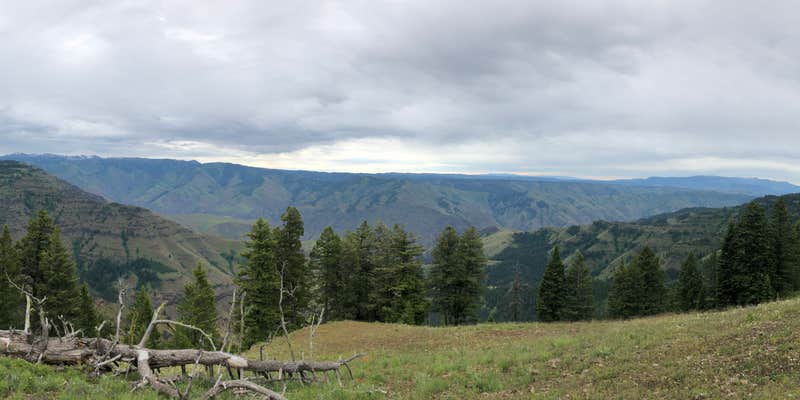 Camper submitted image from Southern Elkhorn Mtn/Powder River Basin Area