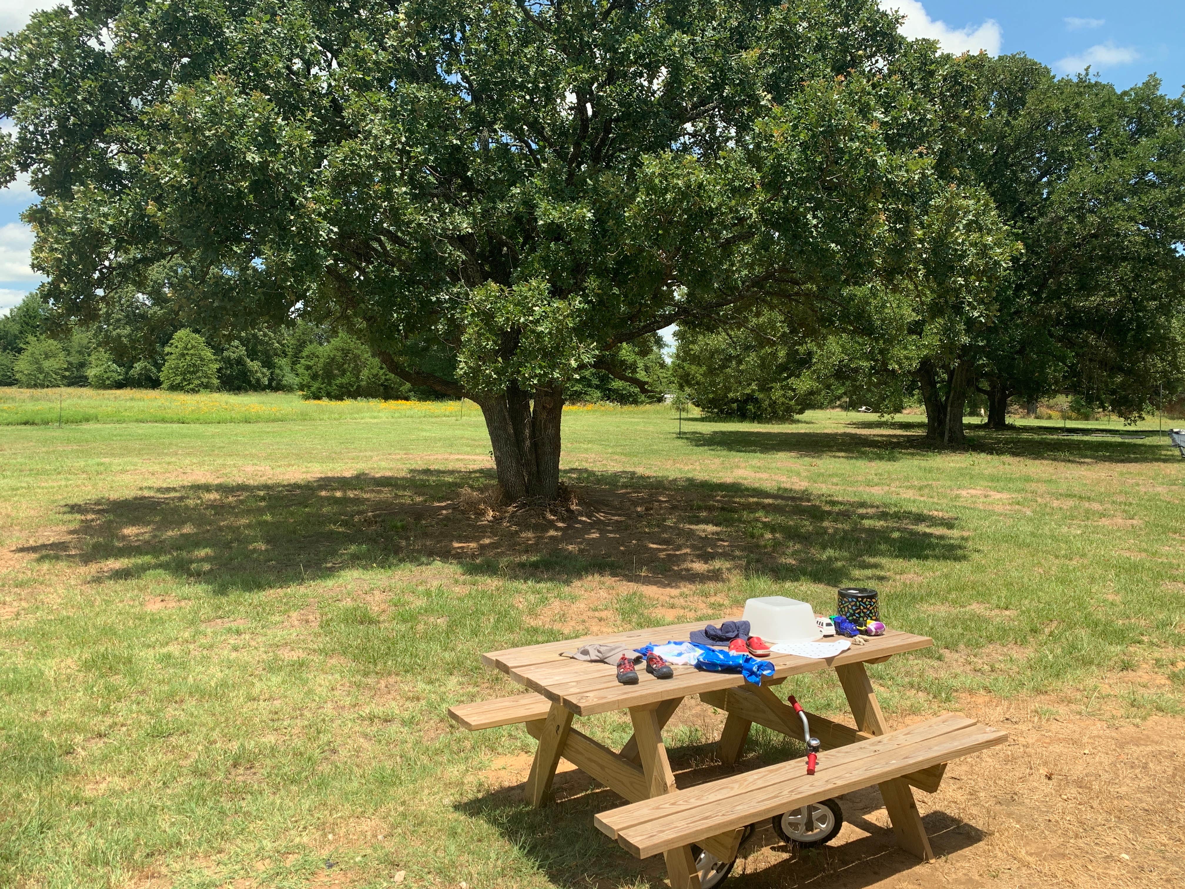 Camper-submitted photo at Coal Mine Ranch RV Park near Athens, TX