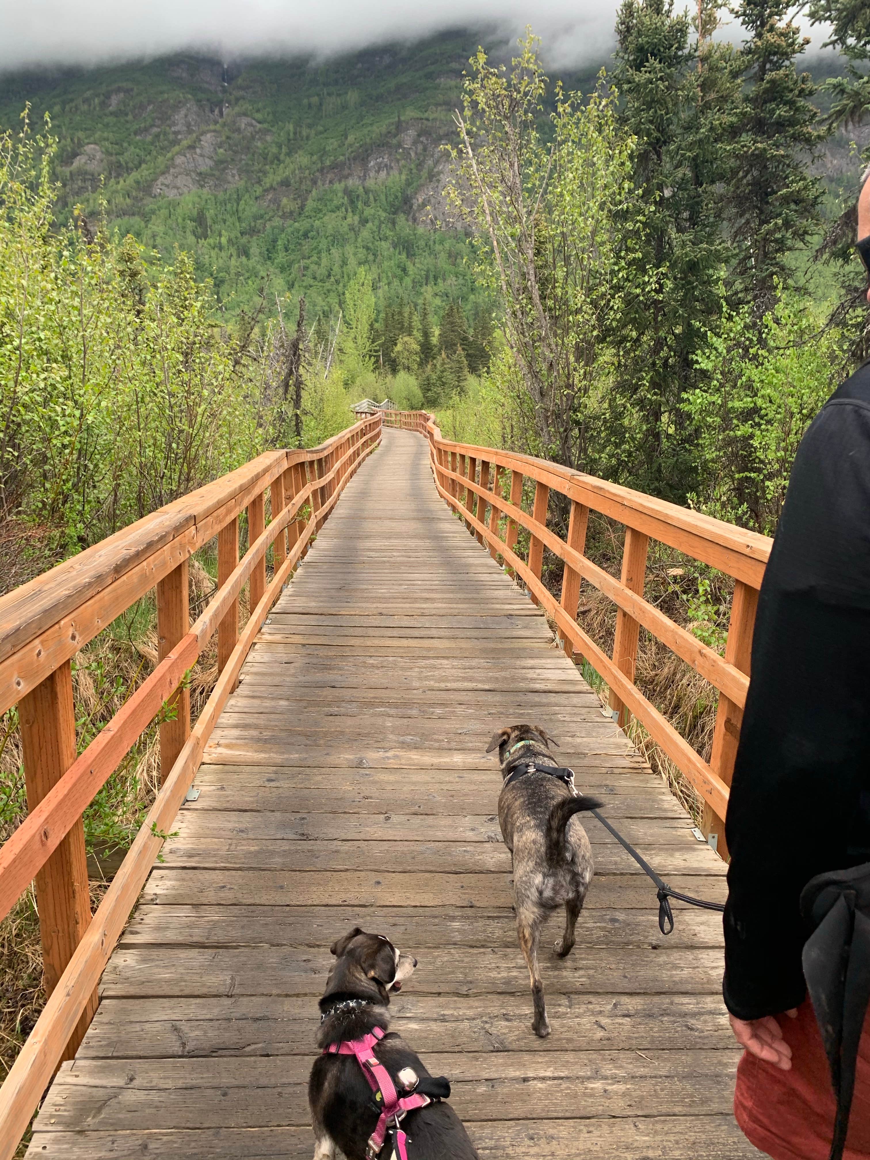 Camper-submitted photo at Eagle River Nature Center (public use cabins/yurts) near Girdwood, AK