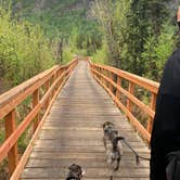 Review photo of Eagle River Nature Center (public use cabins/yurts) by Tanya B., June 21, 2020