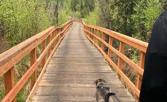 Tanya B.'s photo of camping with pets at Eagle River Nature Center (public use cabins/yurts) near Palmer, AK