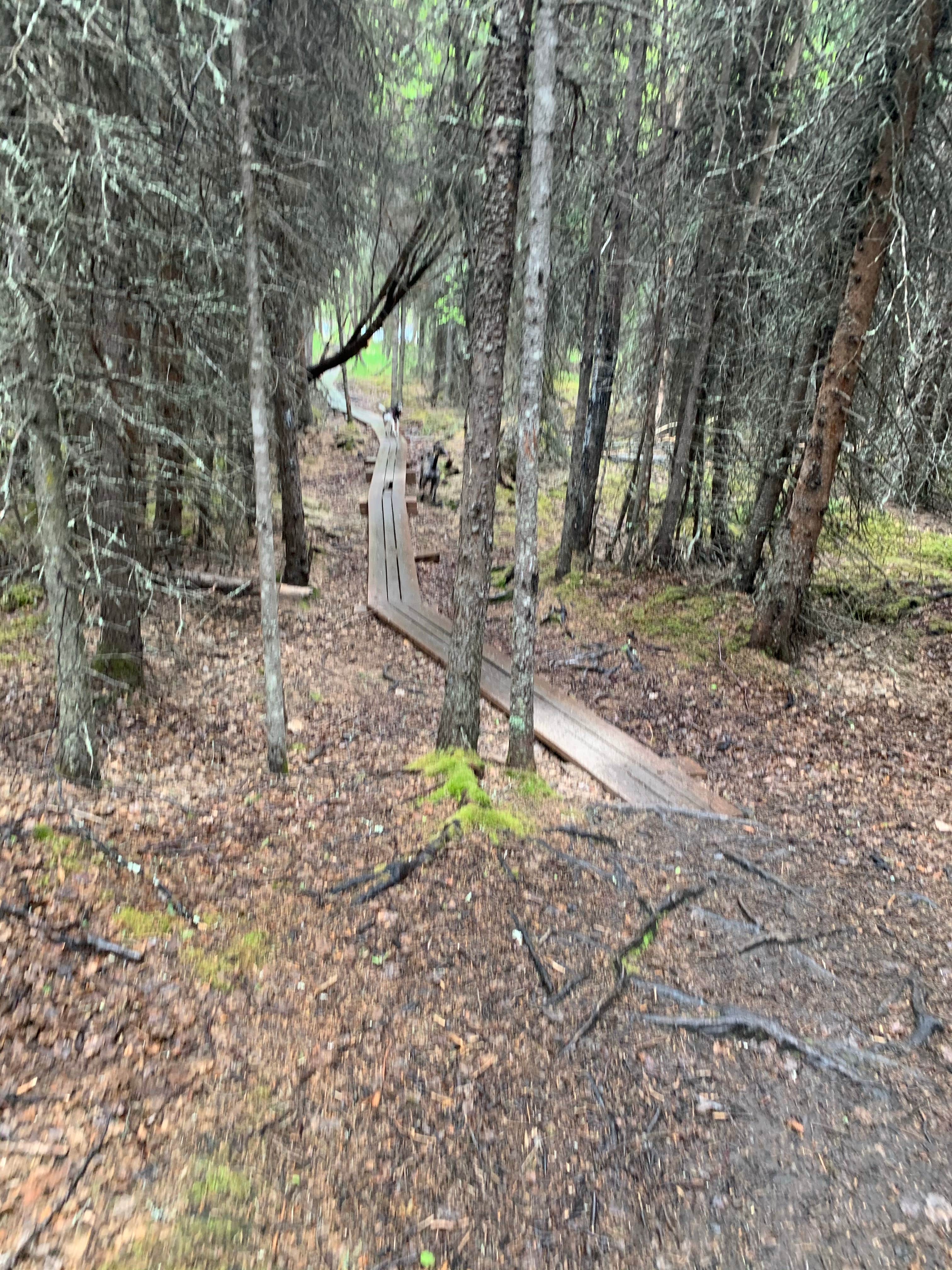 Camper submitted image from Eagle River Nature Center (public use cabins/yurts) - 4