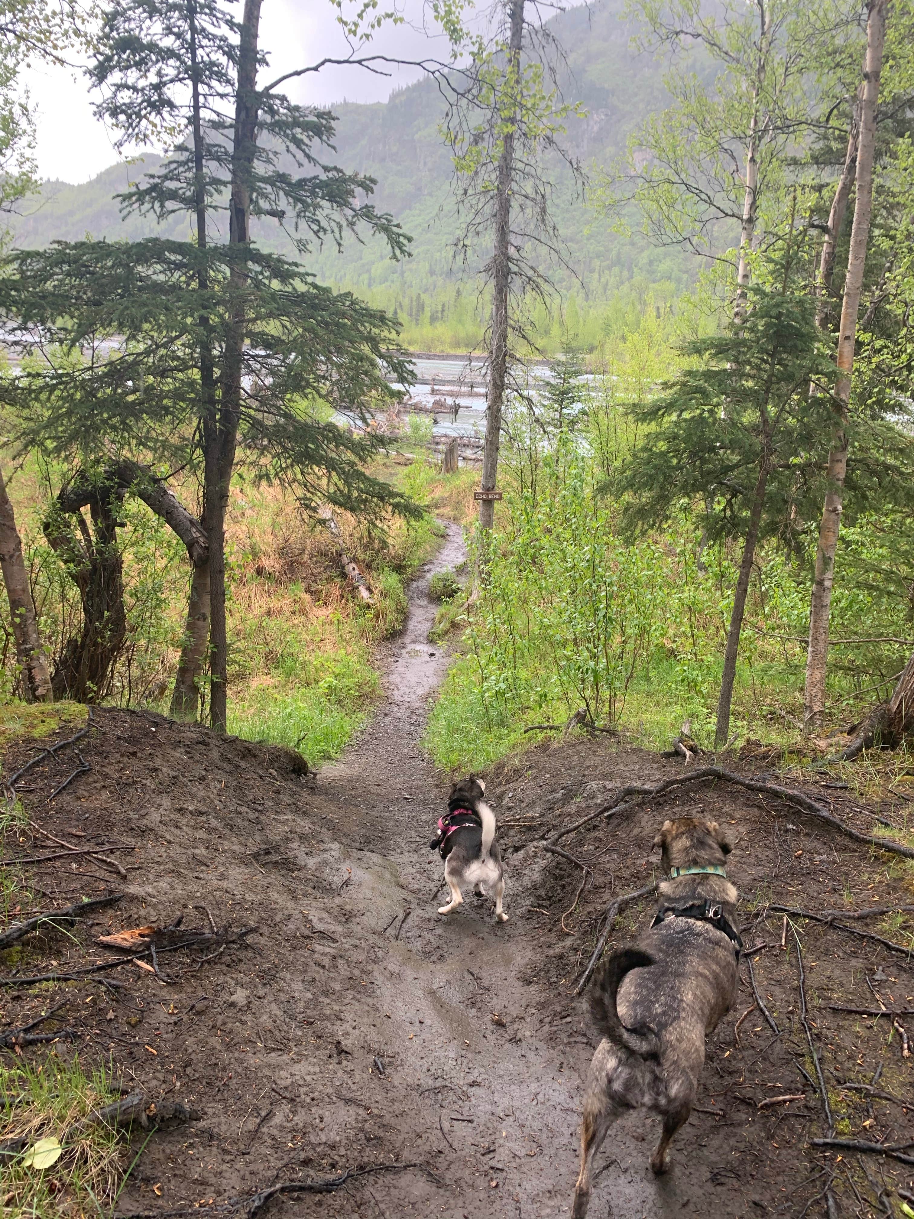 Camper submitted image from Eagle River Nature Center (public use cabins/yurts) - 2