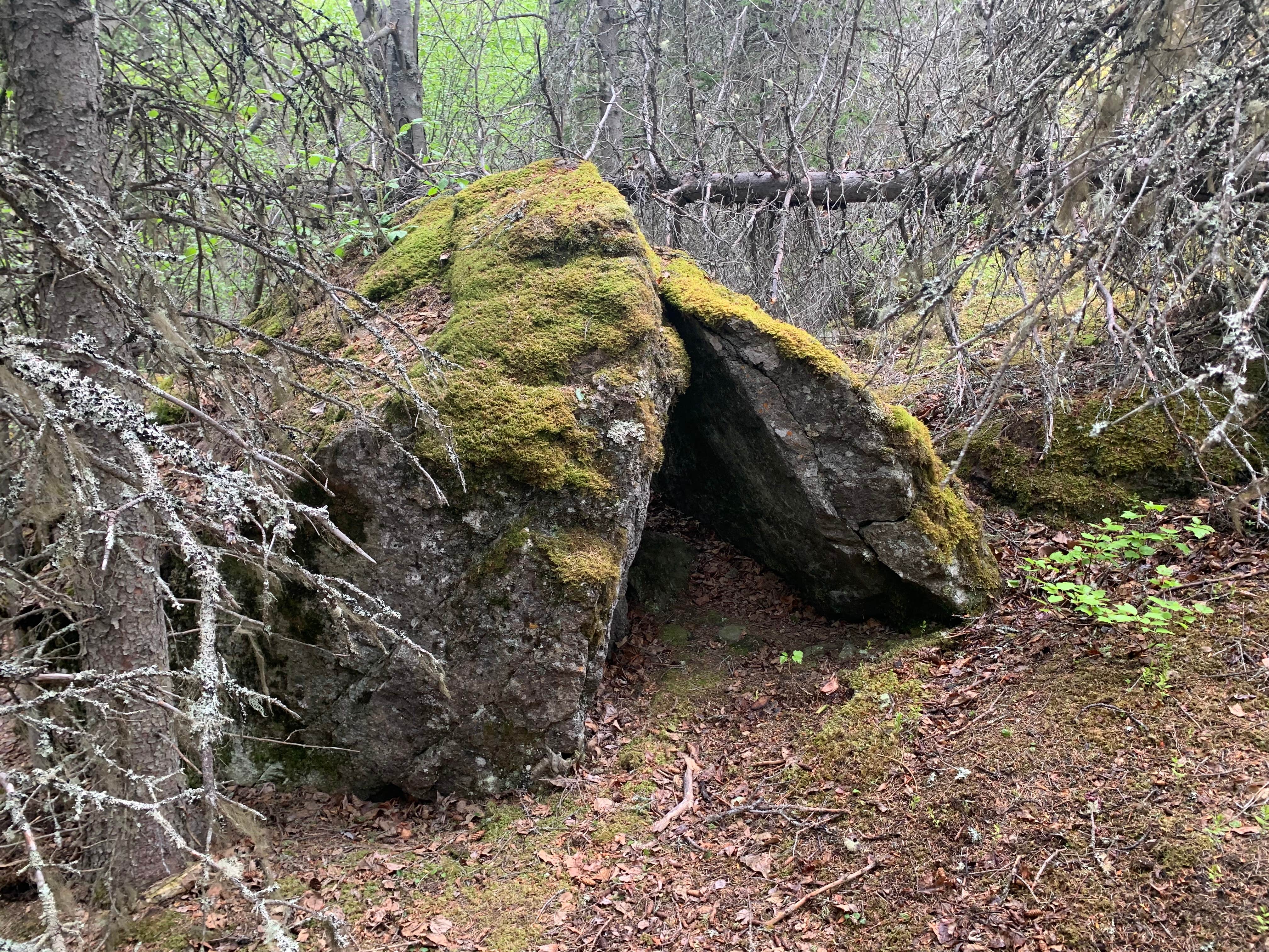 Camper-submitted photo at Eagle River Nature Center (public use cabins/yurts) near Girdwood, AK