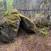 Review photo of Eagle River Nature Center (public use cabins/yurts) by Tanya B., June 21, 2020