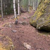 Review photo of Eagle River Nature Center (public use cabins/yurts) by Tanya B., June 21, 2020