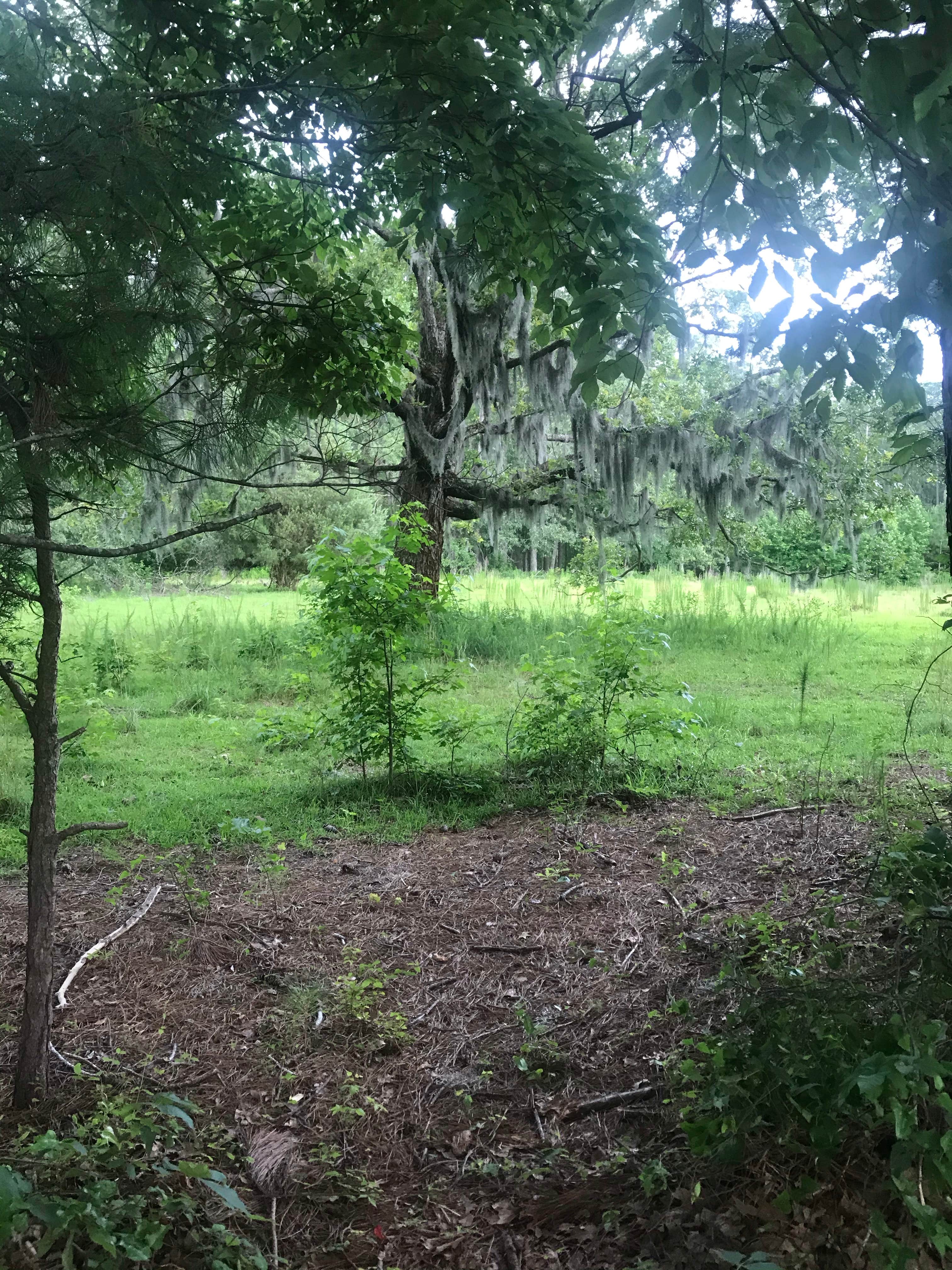 Camper-submitted photo at Military Park Cherry Point MCCS - Pelican Point RV Park near Havelock, NC