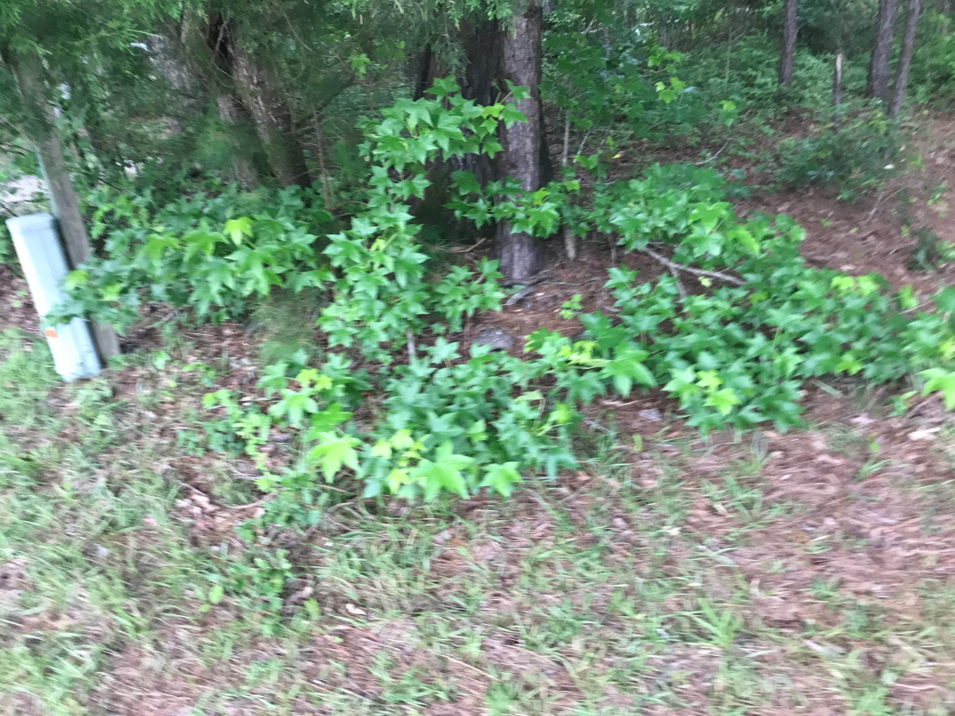 Camping near Dixon Landing RV Resort: Military Park Cherry Point MCCS - Pelican Point RV Park, Cherry Point, North Carolina