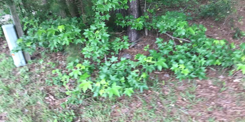 Camper submitted image from Military Park Cherry Point MCCS - Pelican Point RV Park