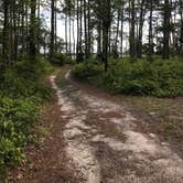 Review photo of Oyster Point Campground by Virginia W., June 21, 2020