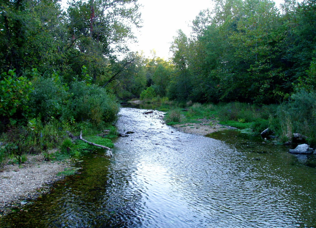 Camper submitted image from Mill Creek (missouri) - 3