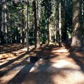 Review photo of Aspen Point (lake of The Woods, Or) by Natalie B., October 29, 2017
