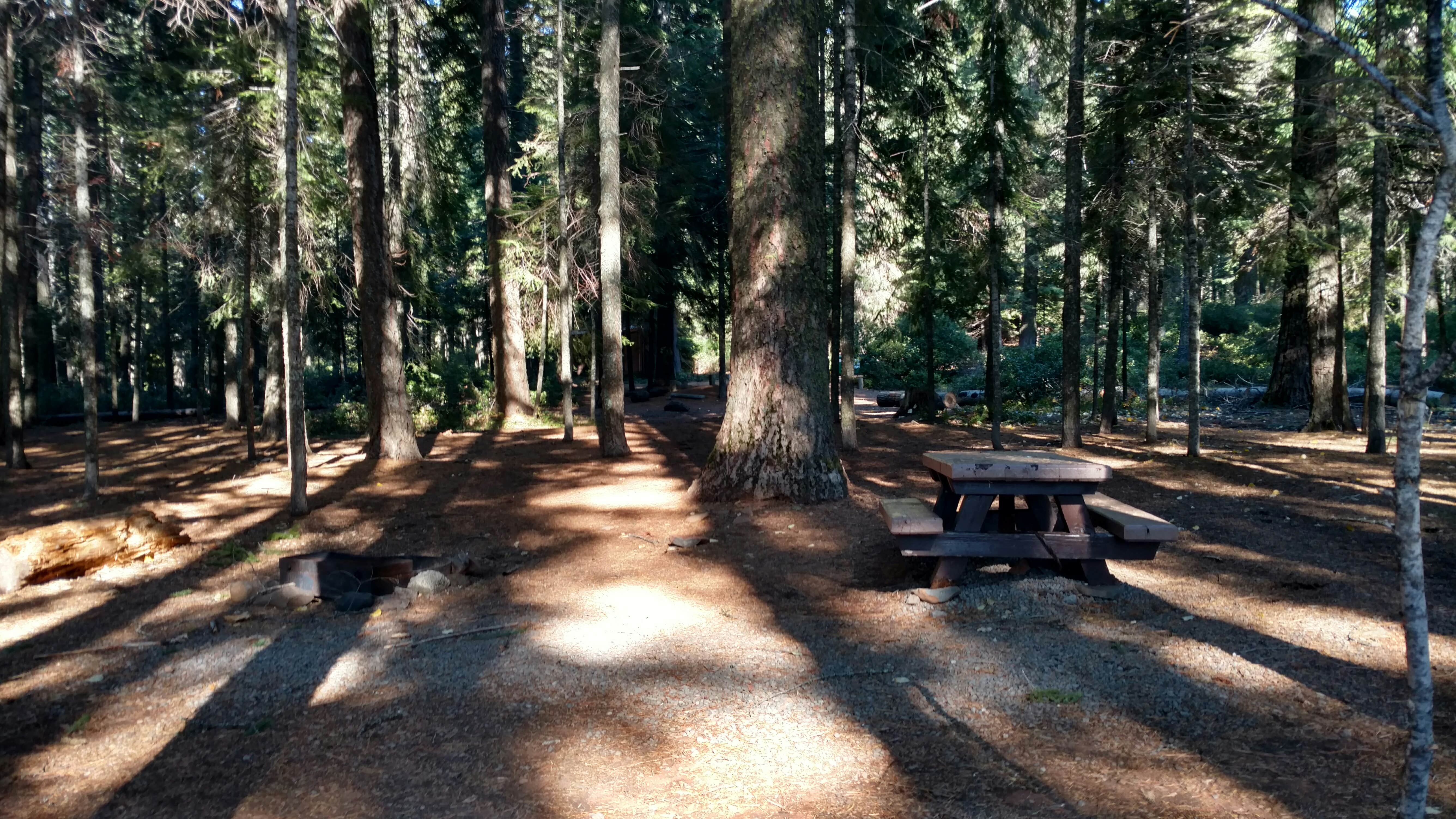 Aspen Point (lake of The Woods, Or) Camping | Butte Falls, Oregon