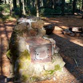 Review photo of Aspen Point (lake of The Woods, Or) by Natalie B., October 29, 2017