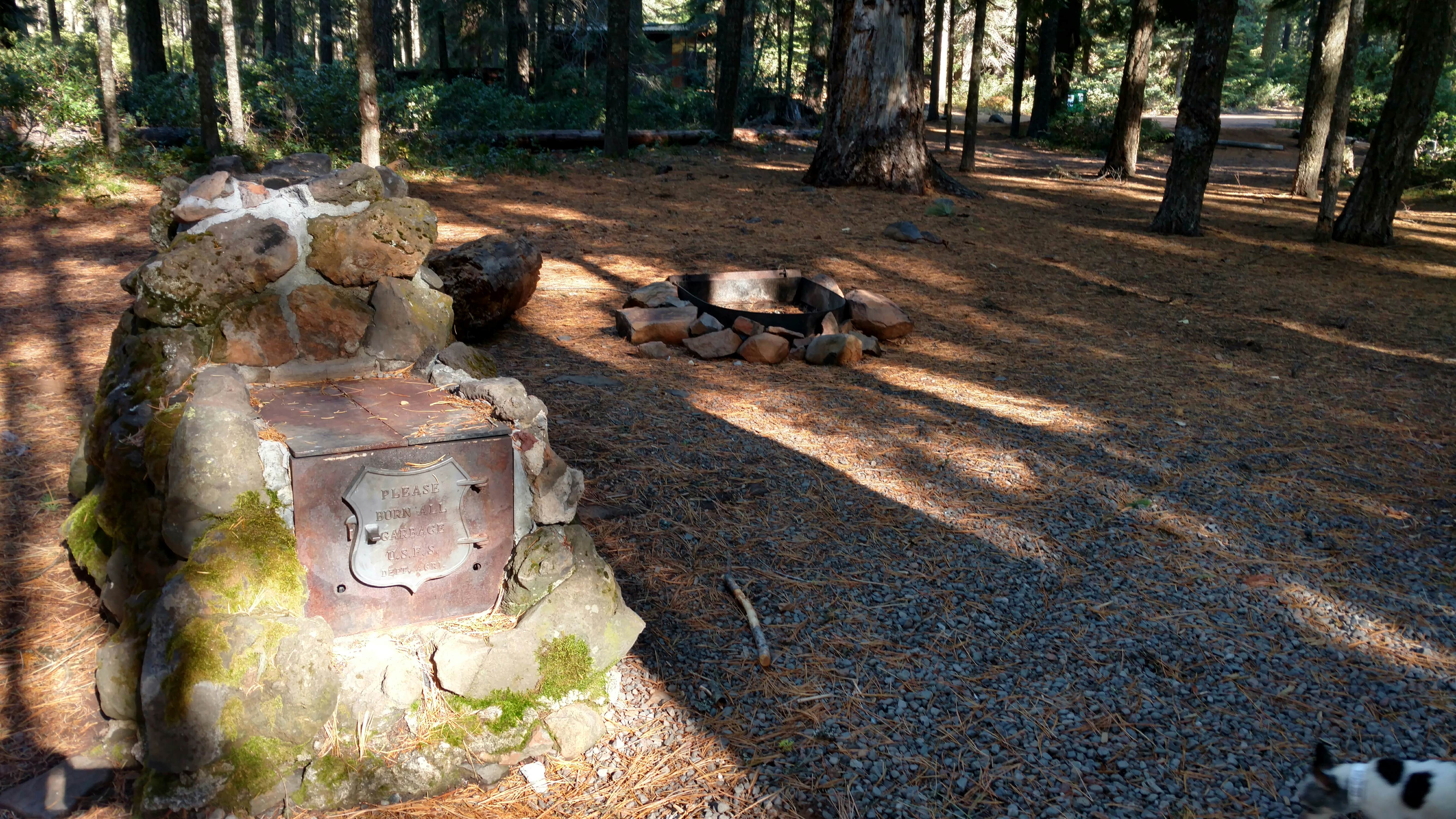 Camper submitted image from Aspen Point (lake of The Woods, Or) - 5